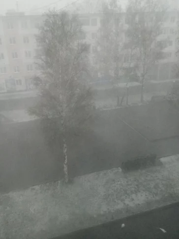 Фото: 9 мая в Кузбассе выпал снег 2