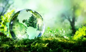 РСХБ прогнозирует роста рынка экологичной упаковки до 350 млрд рублей к 2030 году