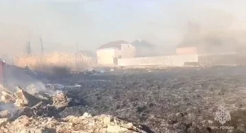 Фото: Природный пожар: в Астрахани сгорело 3 га земли 1