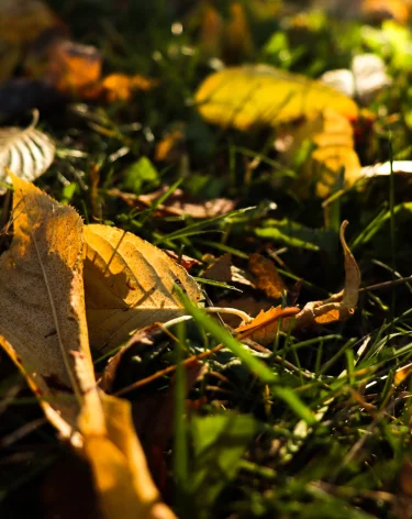 Синоптики: в Сибирь вернётся тепло