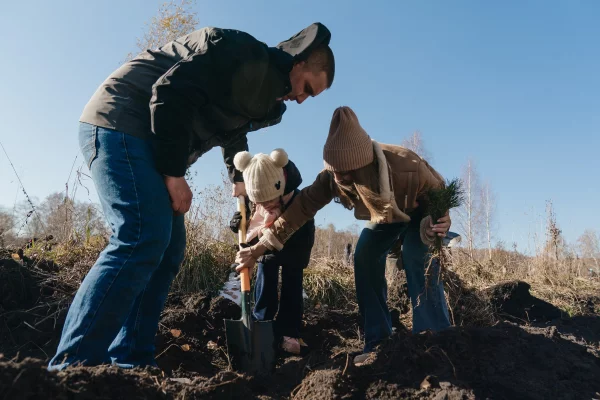 В 2026 году на восстановление лесов в Кузбассе выделили 98,3 млн рублей