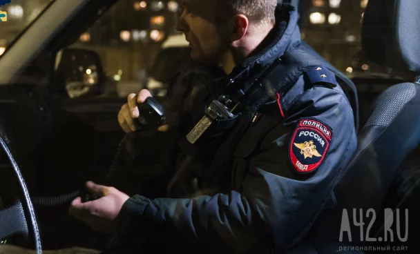 Пропавшую в тайге под Красноярском семью с ребёнком ищут более 350 человек