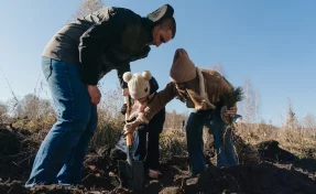 В 2026 году на восстановление лесов в Кузбассе выделили 98,3 млн рублей