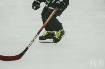 Фото: Кузбасский хоккеист установил два рекорда в НХЛ 1