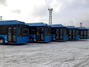 Фото: Кузбасс получил 23 новых автобуса для городских и пригородных маршрутов 1