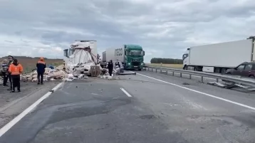 Фото: В Челябинской области в массовом ДТП погибли четыре человека, включая ребёнка 1