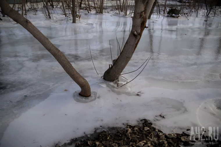Фото: Дело не только в снеге: почему Кемерово топит в неожиданных местах  19