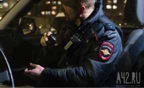 Пропавшую в тайге под Красноярском семью с ребёнком ищут более 350 человек