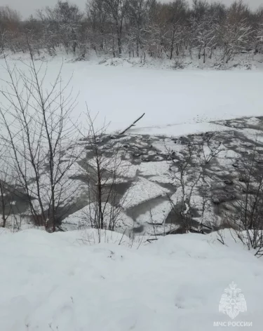 В Башкирии более 200 баранов провалились под лёд на озере