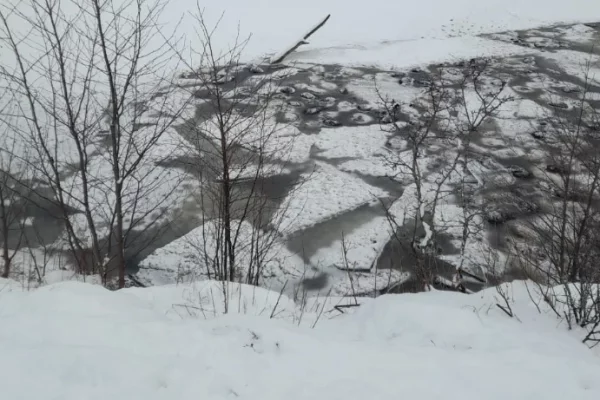 В Башкирии более 200 баранов провалились под лёд на озере