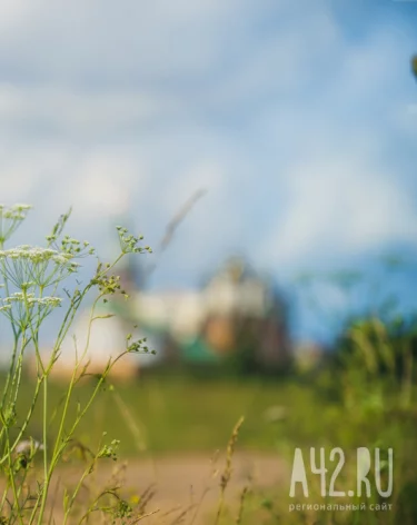 Фото: A42.RU