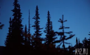 Спасатель назвал ненормальным отсутствие следов пропавшей семьи Усольцевых