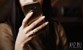 В МВД предупредили о краже номеров по поддельным документам