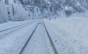 В Кузбассе грузовой поезд насмерть сбил 59-летнего туриста из Москвы