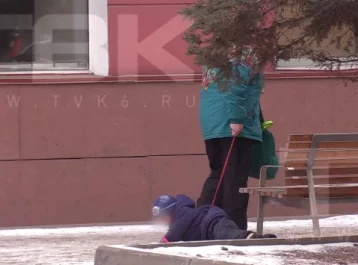 Фото: «Протащила несколько метров»: в Сибири бабушка выгуливала ребёнка на поводке 1