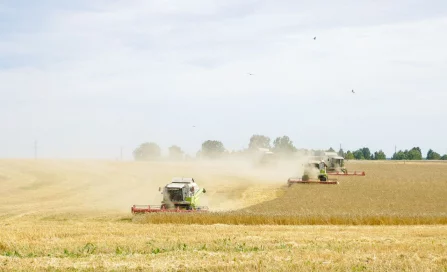 В Кузбассе аграрии собрали на 400 000 тонн зерна больше, чем в 2024 году