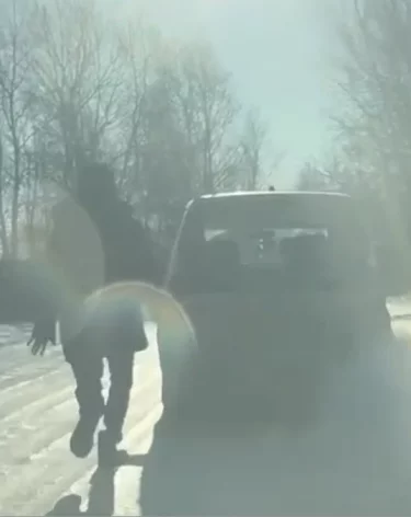 Фото, видео: <a href=https://t.me/mvd_38/13956>МВД38</a>/Telegram