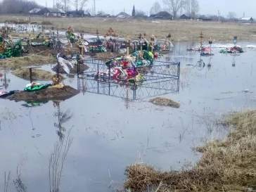 Фото: Кузбассовцы пожаловались на затопленное кладбище 3