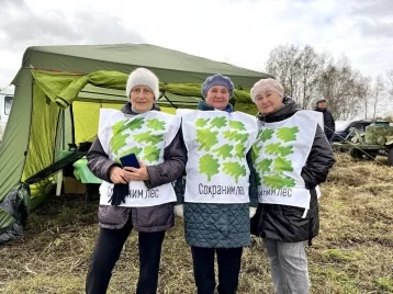 Фото: Андрей Панов: Кузбасс стал первым в Сибири по количеству высаженных деревьев 1