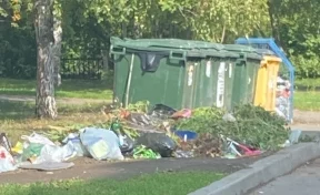 Мэр кузбасского города возмутился из-за свалки мусора возле контейнерной площадки