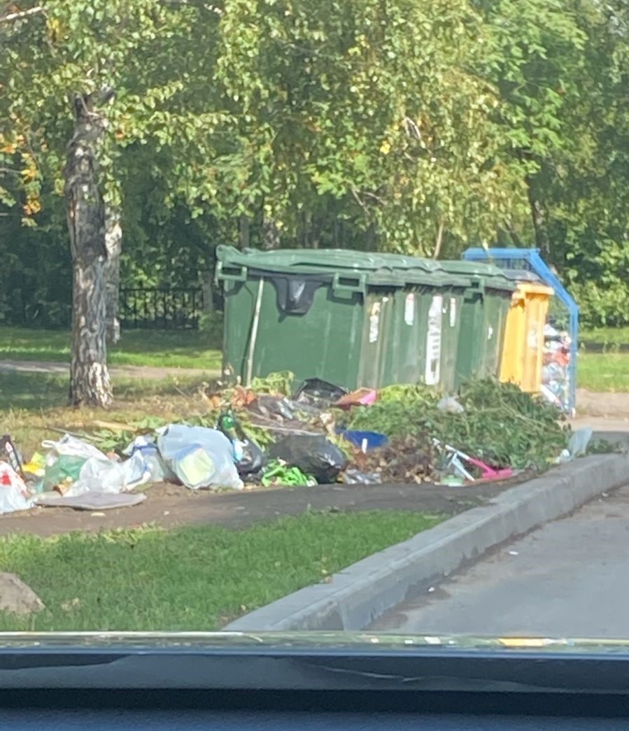 Мэр кузбасского города возмутился из-за свалки мусора возле контейнерной площадки