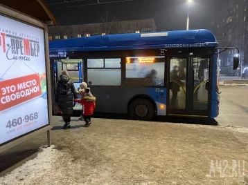 Фото: Власти Новокузнецка высказались против карманов на остановках общественного транспорта 1