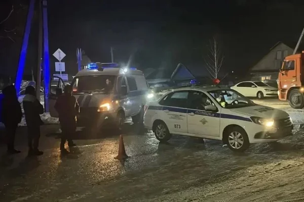 Водитель из Новосибирска заплатит 1 млн рублей семье погибшей 18-летней девушки в Кемерове
