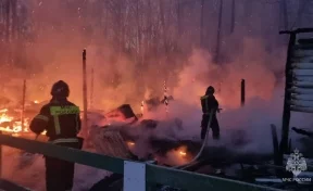 В Москве во время пожара в конюшне погибли восемь лошадей 