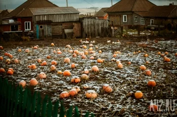 Фото: Мокрый снег и -2: синоптики дали прогноз на 16 сентября в Кузбассе 1