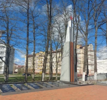 Фото: Председатель СК России заинтересовался кемеровчанином, осквернившим мемориал в Калининграде 1