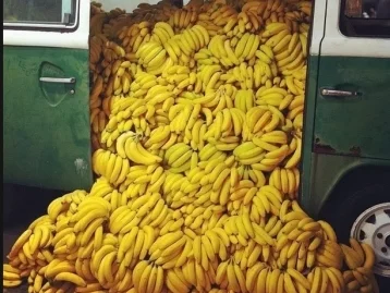 Фото: В Баварии среди бананов в супермаркетах нашли множество свёртков с наркотиками 1