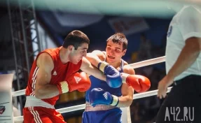 В Кузбассе могут провести чемпионаты России и Европы по боксу