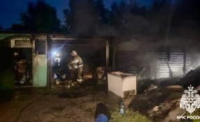 В Кузбассе в пожаре сгорели 40 кур, 2 кролика и квадроцикл