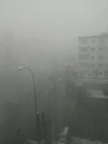 Фото: 9 мая в Кузбассе выпал снег 3
