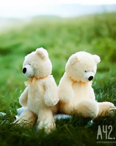 В Петербурге задержали группу педофилов и отца девочки