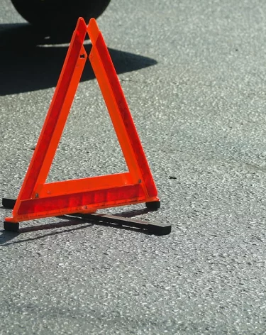 Автомобиль с женщиной и собакой разорвало на части в ДТП в Москве