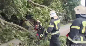 Фото: В Санкт-Петербурге из-за сильного ветра пострадали 5 человек 1