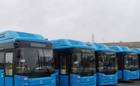 Власти Новокузнецка озвучили информацию операштаба по транспорту на 23 ноября