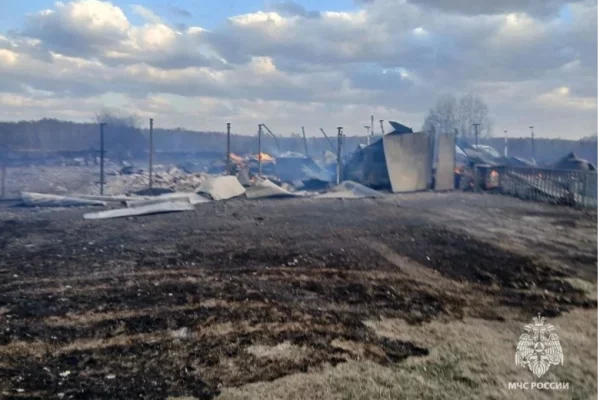 В МЧС назвали причину мощного пожара в томском селе, где сгорело 16 домов