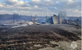 В МЧС назвали причину мощного пожара в томском селе, где сгорело 16 домов
