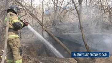 Фото: Подожгли шпалы: в Кемерове двое подростков устроили пожар в лесополосе 2