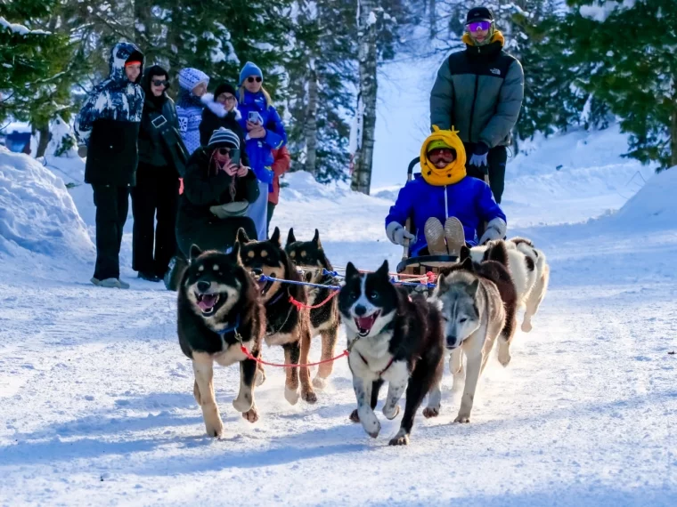 Фото: Горы, «пухляк» и отдых вне склонов: зачем ехать в Шерегеш зимой и летом 2