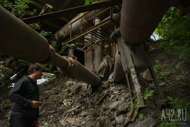 Фото: Звери, бездомные, водопады мусора и озёра нечистот: экспедиция по джунглям Искитимки 53
