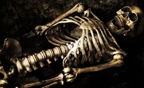 Грибники нашли скелет: зверски убитого кузбассовца не искали даже родственники