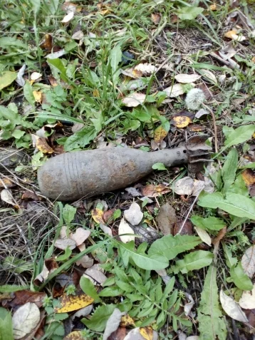 Фото: Кузбасские сапёры уничтожили миномётный снаряд 1