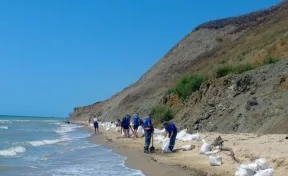 В Краснодарском крае обнаружили новые выбросы мазута