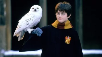 Фото: Напечатанная с ошибками первая книга о Гарри Поттере ушла с молотка за рекордную сумму 1
