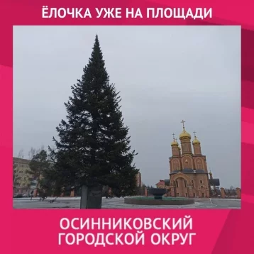 Фото:  В двух кузбасских городах появились главные новогодние ёлки 1