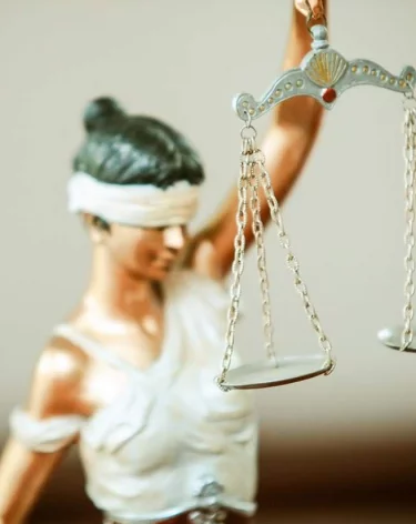 У Кузбассовца конфисковали трактор и бензопилу за незаконную рубку деревьев