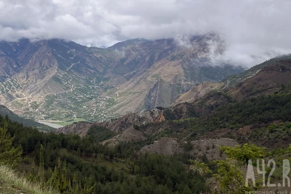 В поисках пропавшей под Красноярском семьи обследовали более 3 000 километров таёжных дорог